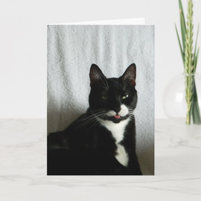 Brat Cat Razzberry Birthday Card (Front)