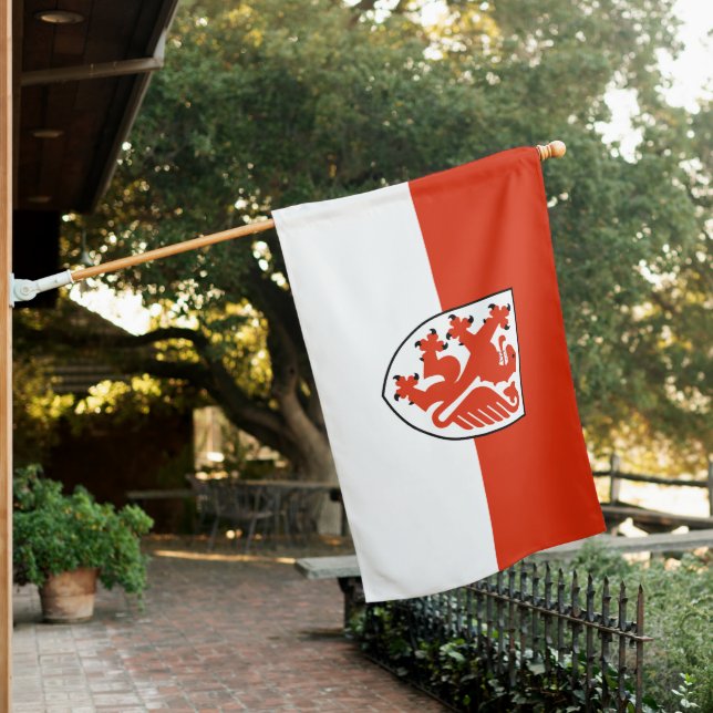Braunschweig city emblem flag symbol germany sign (In SItu)