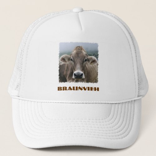 Braunvieh or Swiss Brown cow hat