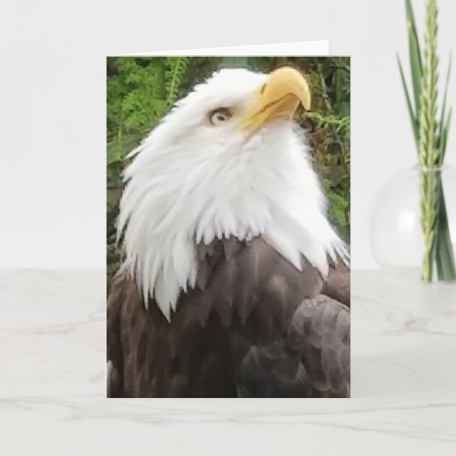 Brave Eagle Greeting Card (Front)