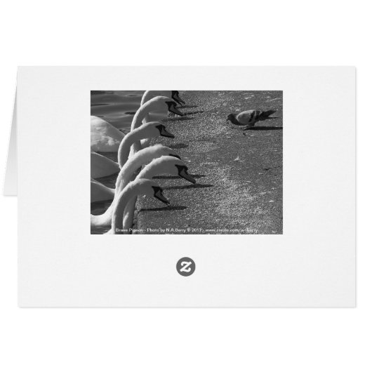 Brave Pigeon (Back Horizontal)