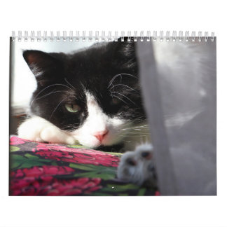 Brave Sir Baby Calendar