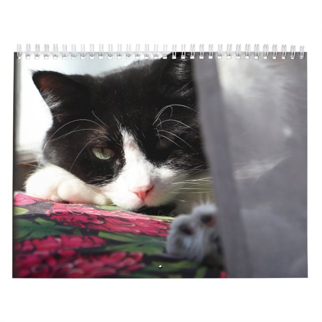 Brave Sir Baby Calendar (Cover)