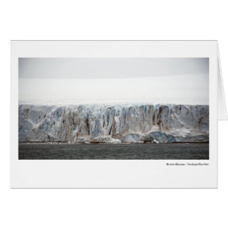 Bravo Glacier, Yankee Harbor