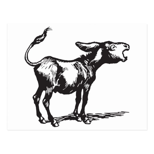 braying donkey postcard | Zazzle.com