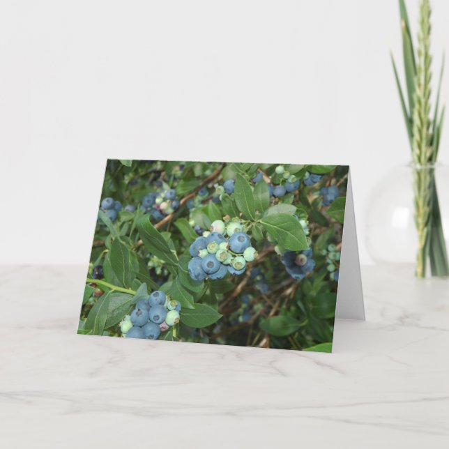 Brays Blueberries Greene County Indiana Card (Front)