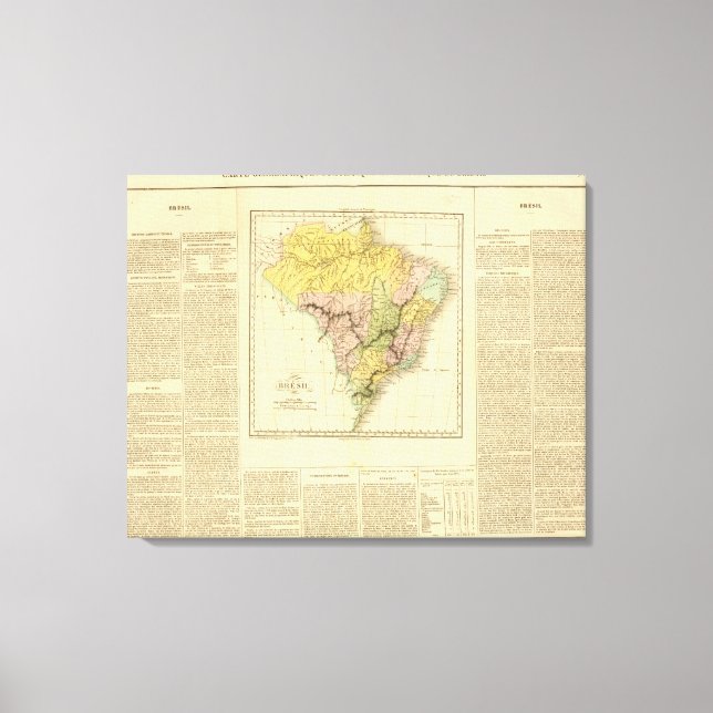 Brazil 7 canvas print (Front)