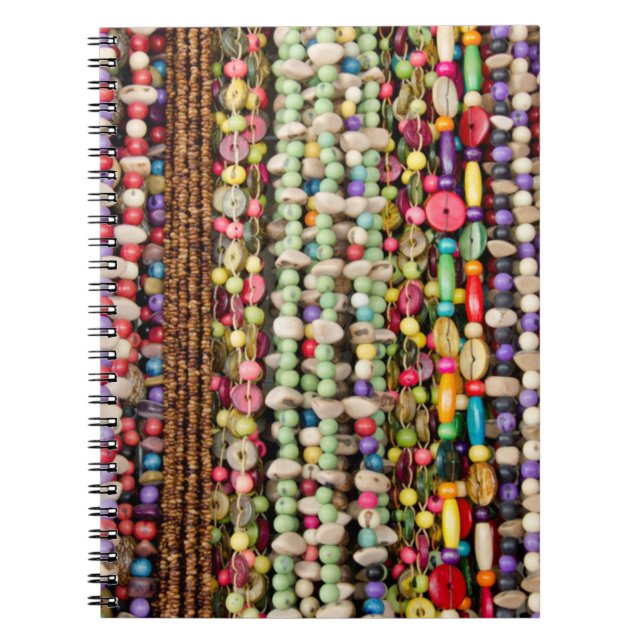 Brazil, Amazon, Manaus. Typical Brazilian Notebook (Front)