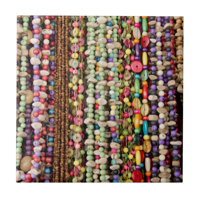 Brazil, Amazon, Manaus. Typical Brazilian Tile (Front)