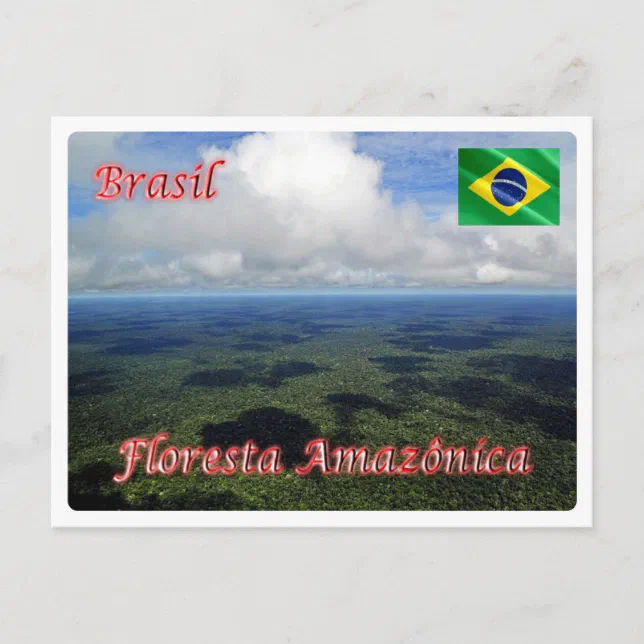 Brazil Amazon Rainforest Postcard Zazzle