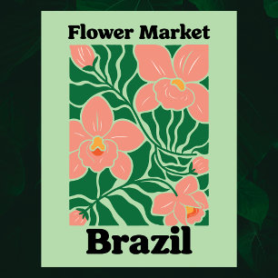 Brazil Flower Market Peach Orchid Tropical Postcard