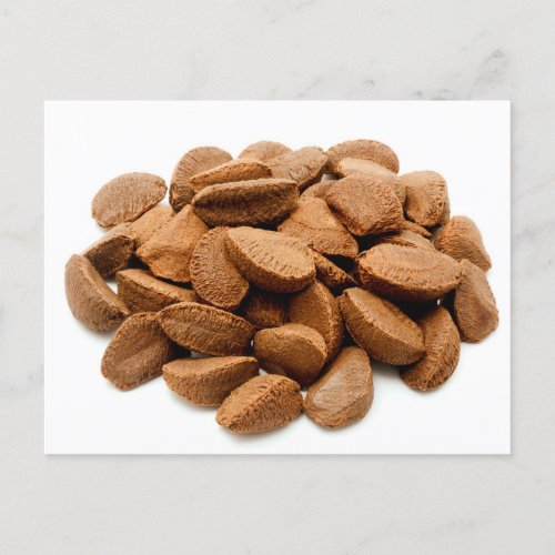 Brazil nut seeds postcard
