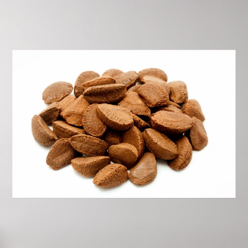 Brazil nut seeds poster