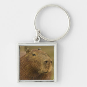 Brazil, Pantanal, Matto Grosso. Capybara Keychain