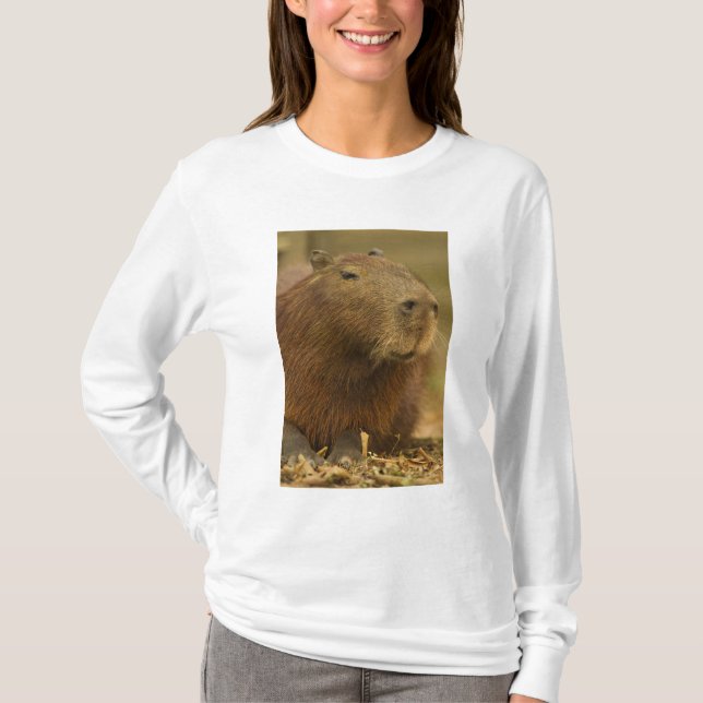 Brazil, Pantanal, Matto Grosso. Capybara T-Shirt (Front)