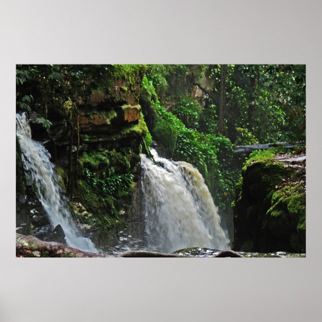 Brazil Rainforest Waterfall Poster (Front)