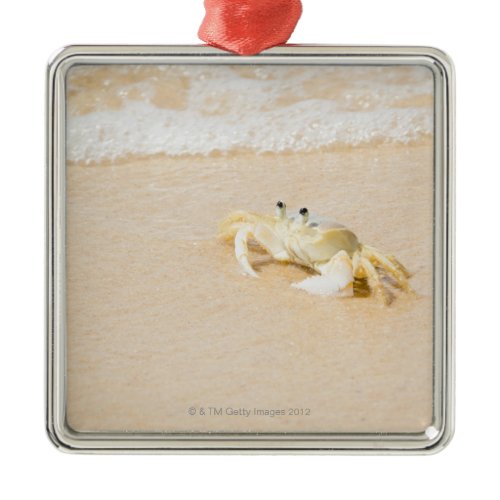 Brazil, Rio de Janeiro, Buzios, Crab on Metal Ornament