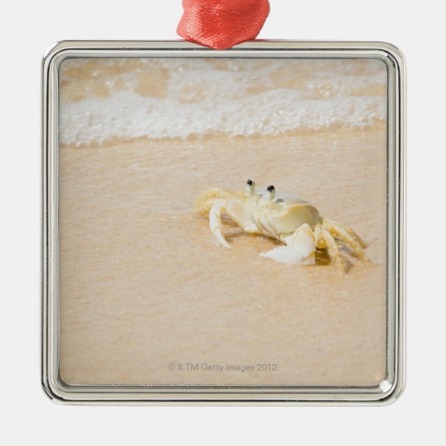 Brazil, Rio de Janeiro, Buzios, Crab on Metal Ornament (Front)