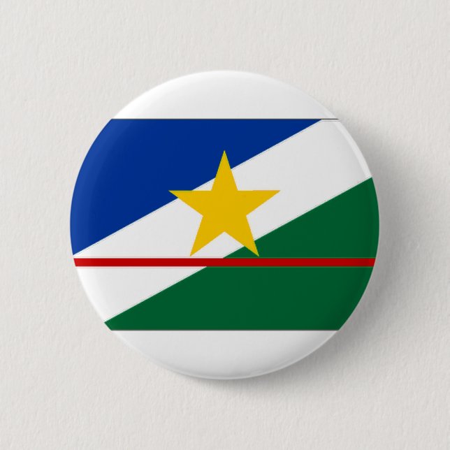 Brazil Roraima Flag Pinback Button (Front)