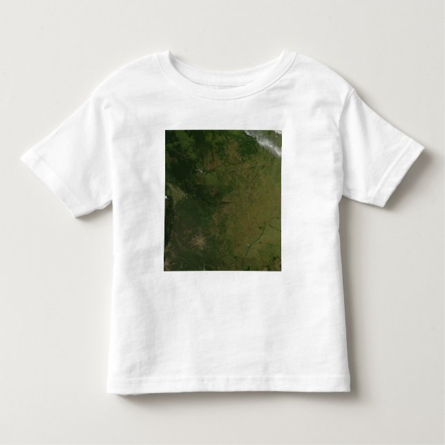 Brazil Toddler T-shirt (Front)