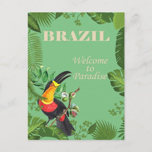 Brazil Toucan Vintage Travel  Postcard