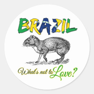Brazil - What's Not to Love Brasil Quote Classic Round Sticker