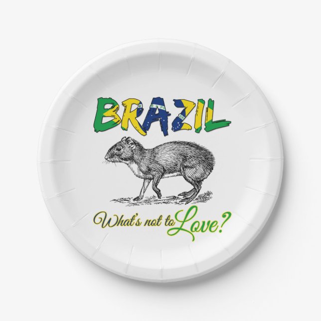 Brazil - What's Not to Love Brasil Quote Paper Plates (Front)