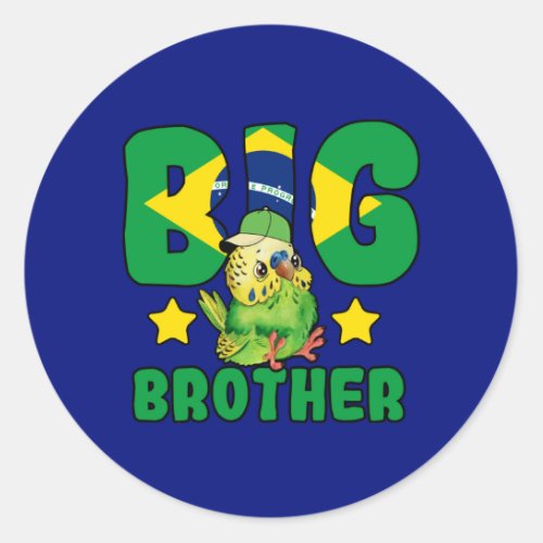 Brazilian Big Brother _ Bird with Brazil Flag Classic Round Sticker