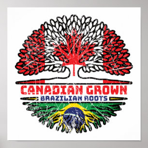 Brazilian Brazil Canadian Canada Tree Roots Flag Poster