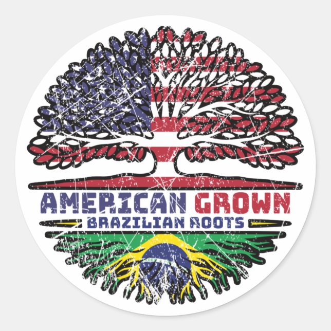 Brazilian Brazil US American USA United States Classic Round Sticker (Front)