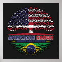 Brazilian Brazil US American USA United States