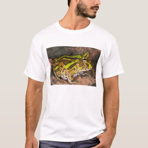 Brazilian Horn Frog Ceratophrys cornuta Native T_Shirt