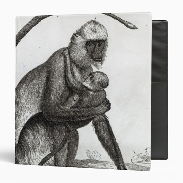 Brazilian Monkey 3 Ring Binder (Front/Inside)