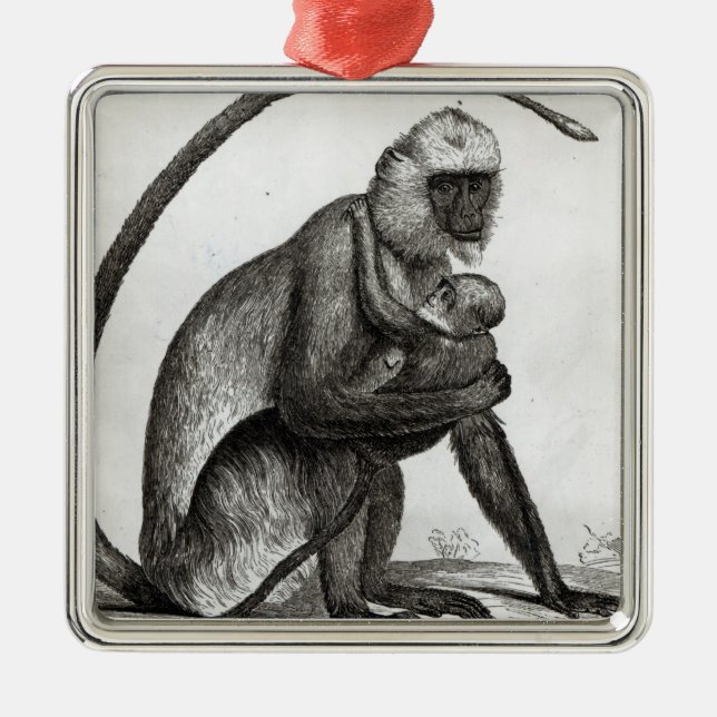 Brazilian Monkey Metal Ornament (Front)