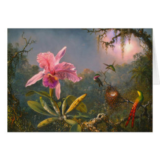Brazilian Orchid and Hummingbirds 1871 Cards
