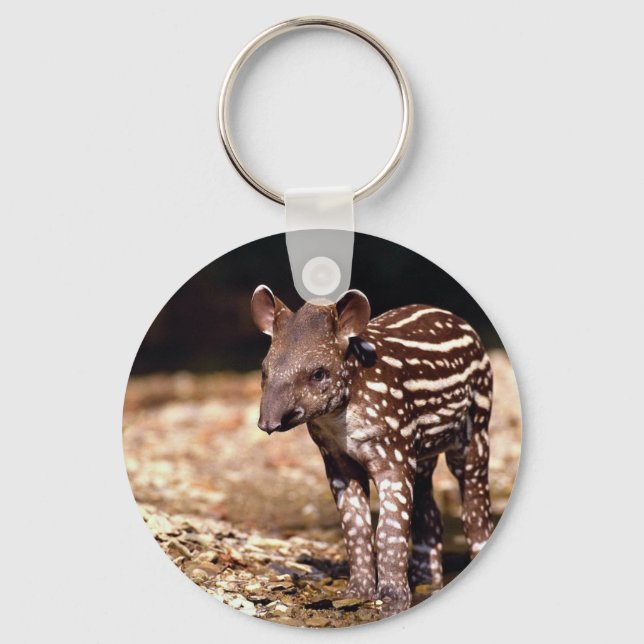 Brazilian Tapir, young calf beside river Keychain (Front)