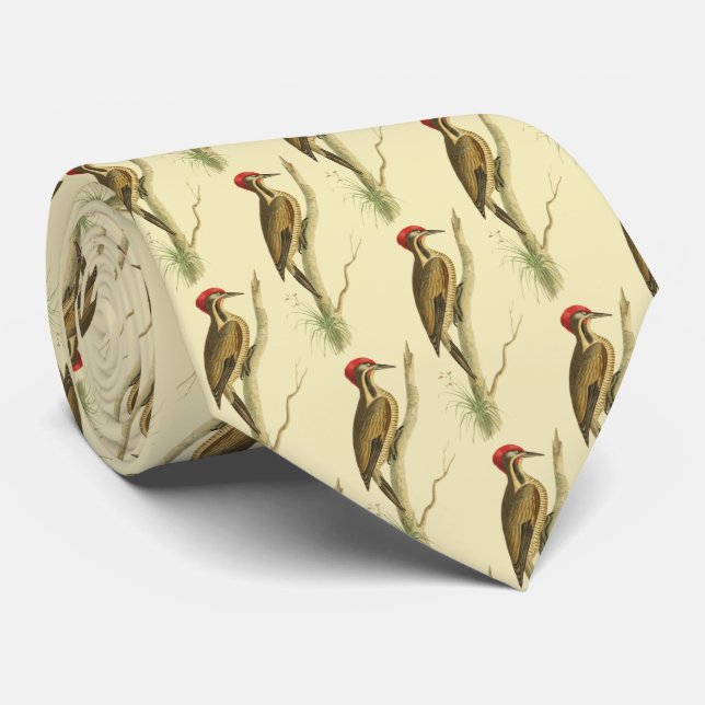 Brazillian Woodpecker Neck Tie (Rolled)