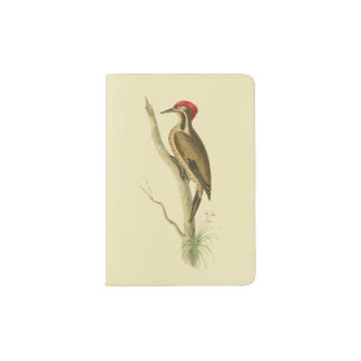 Brazillian Woodpecker Passport Holder