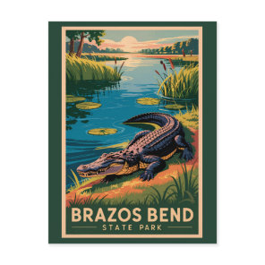 Brazos Bend State Park Texas Travel Art Vintage Postcard