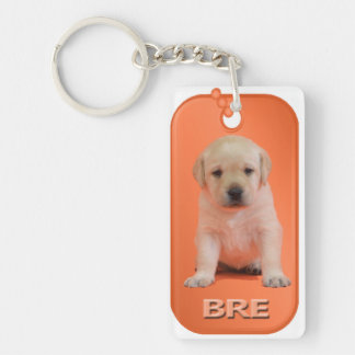 Bre Dog Tag Keychain