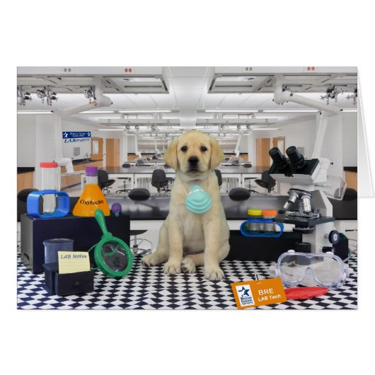 Bre week 8 (Front Horizontal)