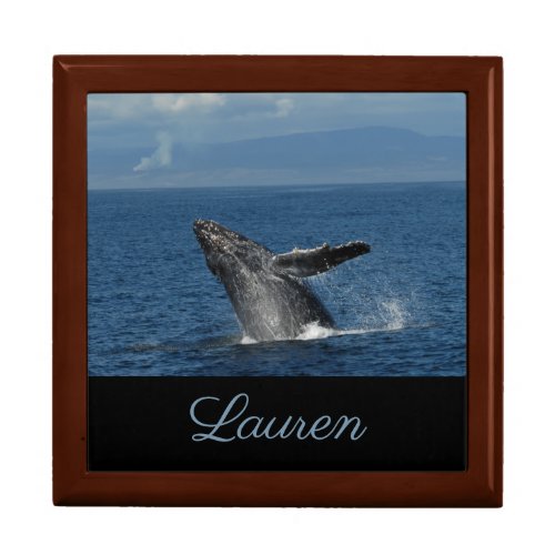 Breach of a Humpback Whale Gift Box