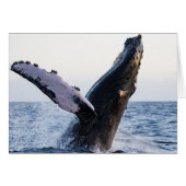 Breaching Humpback Whale #1, Blank Inside (Front Horizontal)