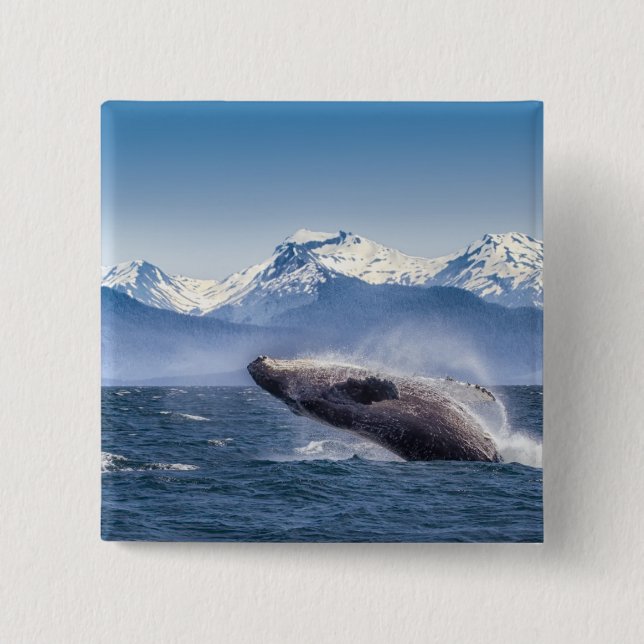 Breaching Humpback Whale In Alaska Button (Front)