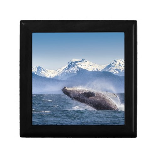 Breaching Humpback Whale In Alaska Keepsake Box