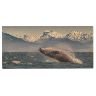 Breaching Humpback Whale In Alaska Wood Flash Drive
