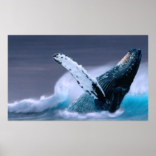 breaching whale wildlife photography poster