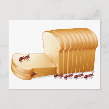 Bread And Ants Postcard by GraphicsRF at Zazzle