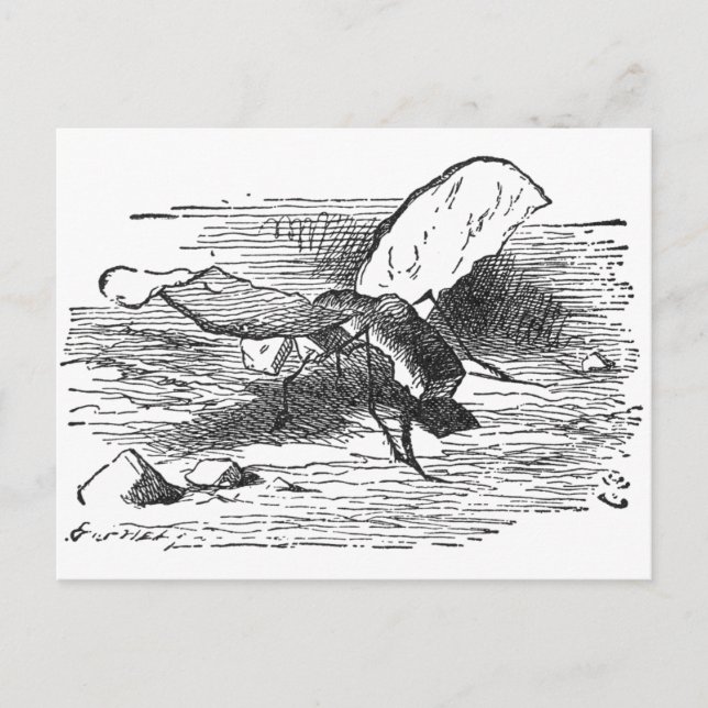 Bread and Butter Fly Postcard (Front)