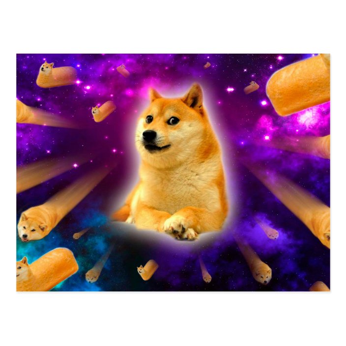 Bread Doge - double doge in a pouch roblox